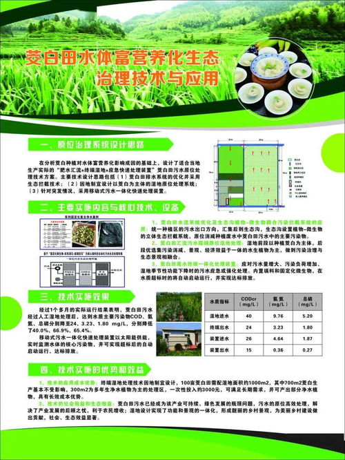 麗水山區(qū)茭白綠色可持續(xù)發(fā)展技術(shù)示范現(xiàn)場(chǎng)會(huì)在新建鎮(zhèn)召開