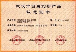 創新驅動發展，自主研發軟件入選武漢市政府采購名錄，引領網絡技術服務新篇章