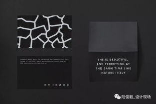 創意綻放 AGI國際平面設計聯盟2017新會員作品鑒賞
